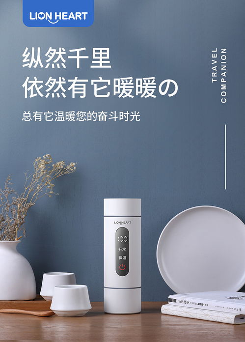 電商時(shí)代下小家電的崛起與家用電器消費(fèi)新趨勢(shì)